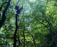 フラットな現実視点で前向きにお悩みを整理します イメージ1