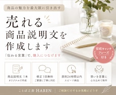 売上につながる商品説明文を作成します 商品の魅力を最大限に引き出します