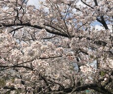 お子さんが居る方子育てに悩みがある方お助けします イメージ1