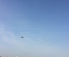 空き地をお探しの方へ、大田区大森地区の空き地の現地写真を撮り、住所を調べお教えします。 イメージ1
