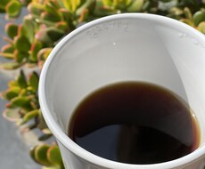 練習相手します イメージ1