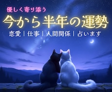 即日鑑定❣️7月～半年の運勢を優しく丁寧に占います お仕事|恋愛|人間関係|全体運|金運|タロットで流れをお届け