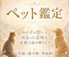 大切なペットの気持ちや出会いの意味を霊視します お空組・迷子組も！ペットちゃんの気持ちと伝えたいメッセージ