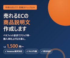売れるECの商品説明文を作成します 特徴を送るだけ。クリックされる説明文に仕上げます