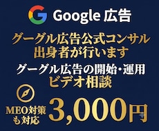 Google広告の相談・ビデオチャット診断します 【初回相談・ビデオチャット】売上を最大化する広告戦略を設計