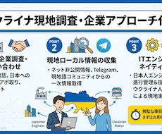 ウクライナ現地で企業・IT市場調査・交渉を代行ます 現地在住エンジニア×ウクライナ人パートナーがBtoB調査代行