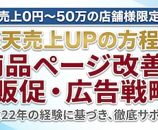 楽天商品ページ改善と販売/広告の方法を伝授します イメージ1