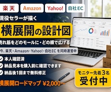 現役の多モール運営セラーが横展開を設計します イメージ1