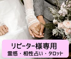 リピーター様専用（他のオプションを選択でき）ます イメージ1