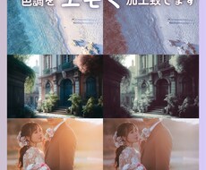 お写真の色調をエモく加工致します ご指定の色味での加工も可能です