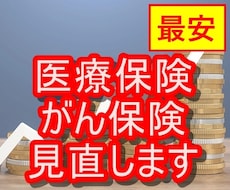 最安！現役FPが医療保険・がん保険を見直します 医療保険を見直して、毎月の支出を大幅カット！