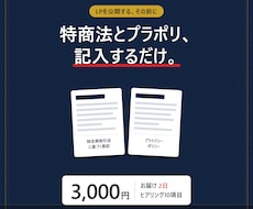 LPに必要な特商法とプラポリの雛形を作ります 記入するだけ。ネット販売に必要な2つの表記を用意します