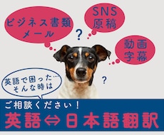 格安・迅速な英語翻訳いたします 海外ビジネス経験豊富な翻訳者があなたの英語のお困りごとを解決