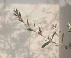 リピーター様限定！名刺の修正承ります 以前ご依頼いただいた方専用となります＾＾