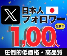 Xの日本人フォロワー100人徐々に増加させます X・旧Twitterの日本人フォロワー増加　高品質アカウント