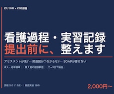 看護過程・実習記録を提出できる形にします イメージ1