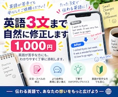 英語3文まで1000円で自然に修正します イメージ1
