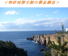 特許技術文献を簡易調査致します イメージ1