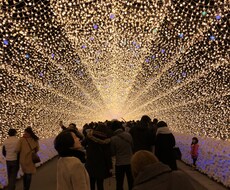 現役10年以上風俗嬢が悩みを解決します イメージ1
