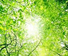 彼の気持ちと今後を占います 彼との関係で悩んでいる方、彼と進展したい方へ