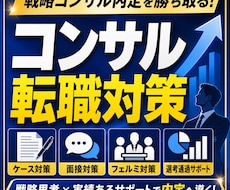 元戦略コンサル・採用責任者が実践型模擬面接をします イメージ1