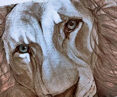 アイコン、扉絵、ロゴ製作を承っております イメージ1