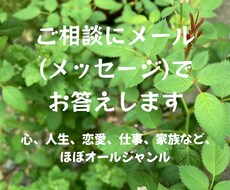 お悩み・ご相談にメッセージでお答えします イメージ1