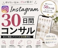 インスタ30日間コンサルします 伸びない悩みを解決します！！！