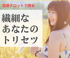 即納・繊細さんが輝くトリセツを作ります 即納・繊細なあなたが自分らしく輝くための心の取扱説明書です