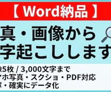 Word納品、画像・写真の文字をデータ化します イメージ1