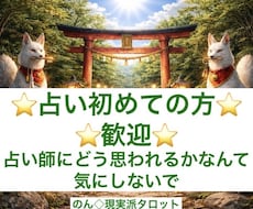 複雑すぎる悩みや気持ちを整理したい方を占います 私、どうしたらいい？長文OKまとまらなくても構いません