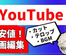 最安値！カット・テロップ・SE・BGM入れ承ります イメージ1