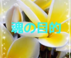 魂の目的をお伝えします イメージ1