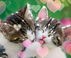あなたの婚期予想＆恋愛運が良い時期をお伝えします ★大手占い所属★何歳で結婚?これを逃したら次はいつ?