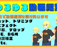 カット、字幕、希望の画像挿入などします イメージ1