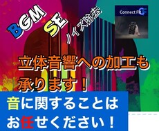ココナラ最安値！BGM・SEいれます イメージ1