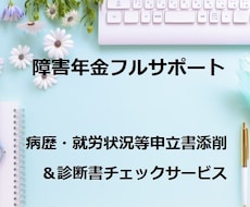 完全版！障害年金の申立書添削＆診断書チェックします 障害年金専門の社労士が「受給するため」に完璧サポート