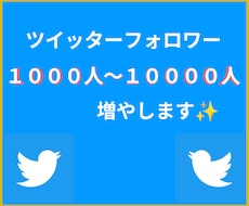 Twitterフォロワー100人✨増加✨させます イメージ1