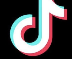 TikTok YouTubeなどの動画編集をします イメージ1