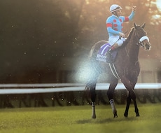 競馬予想・開催別買える馬教えます