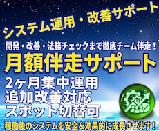 システム稼働後⭐2ヶ月集中・月額伴走サポートます システム安定化・改善実装・技術＆法務調査までチームで伴走