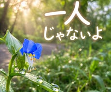 あなたのさみしいを聞きます イメージ1