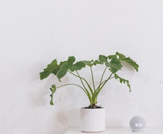 辛い心の内、聴かせて頂きます イメージ1
