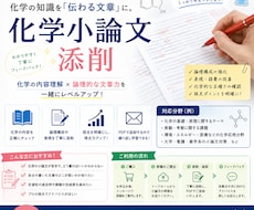 化学の小論文添削します イメージ1