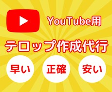 テロップ・字幕の入力をします イメージ1