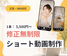 動画編集歴9年目のプロがショート動画制作します イメージ1