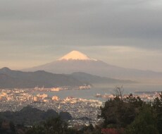 ジャンル問わず相談乗ります イメージ1
