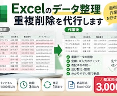 Excelのデータ整理・重複削除を代行します イメージ1