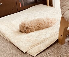 20代女性が少しでも心の不安感を取り除きます イメージ1