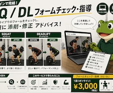 SQ/DLフォーム指導お送りします イメージ1